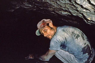 “Why not go a little deeper? Who ever heard of bad things happening down a mine?” Credit: George Poinar